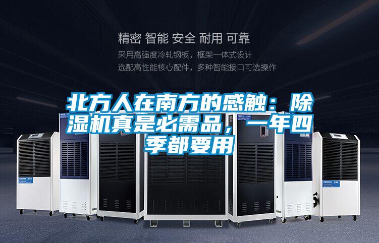 北方人在南方的感觸：除濕機真是必需品，一年四季都要用