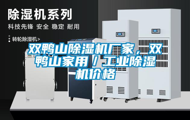 雙鴨山除濕機(jī)廠家，雙鴨山家用／工業(yè)除濕機(jī)價(jià)格