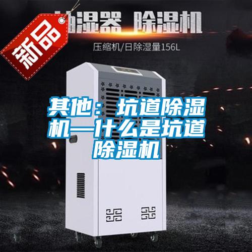 其他：坑道除濕機(jī)—什么是坑道除濕機(jī)
