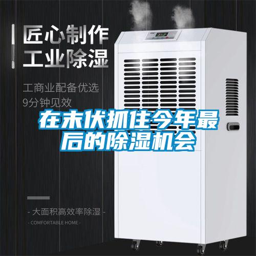 在末伏抓住今年最后的除濕機(jī)會