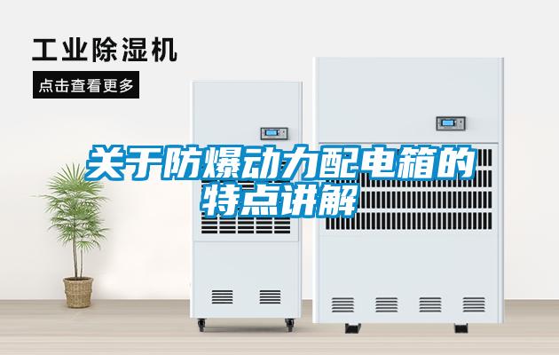 關(guān)于防爆動(dòng)力配電箱的特點(diǎn)講解