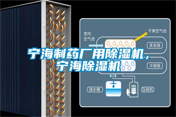 寧海制藥廠用除濕機，寧海除濕機