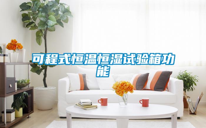 可程式恒溫恒濕試驗箱功能
