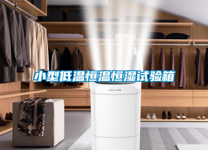 小型低溫恒溫恒濕試驗箱