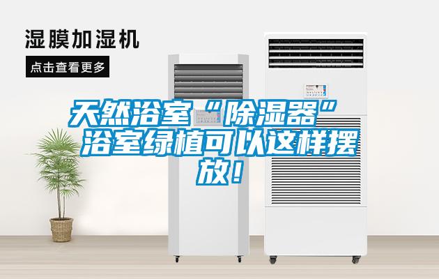 天然浴室“除濕器” 浴室綠植可以這樣擺放！
