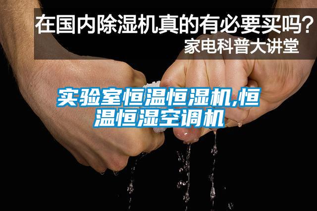 實(shí)驗(yàn)室恒溫恒濕機(jī),恒溫恒濕空調(diào)機(jī)