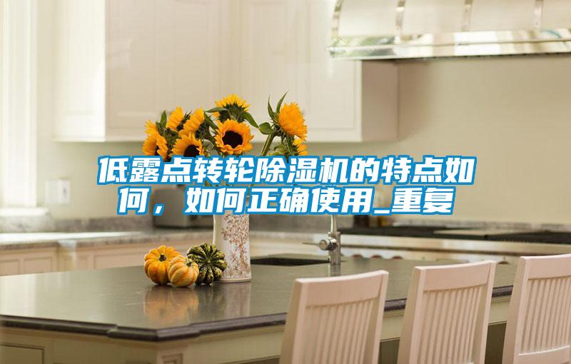 低露點轉(zhuǎn)輪除濕機的特點如何，如何正確使用_重復