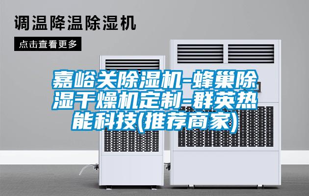 嘉峪關除濕機-蜂巢除濕干燥機定制-群英熱能科技(推薦商家)