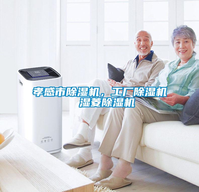孝感市除濕機，工廠除濕機  濕菱除濕機
