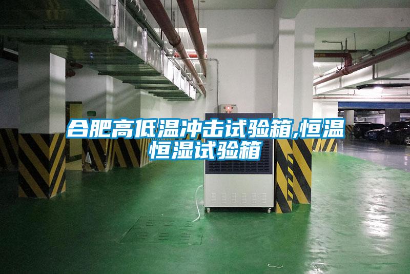 合肥高低溫沖擊試驗(yàn)箱,恒溫恒濕試驗(yàn)箱