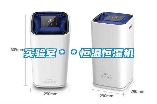 實(shí)驗(yàn)室＊＊恒溫恒濕機(jī)