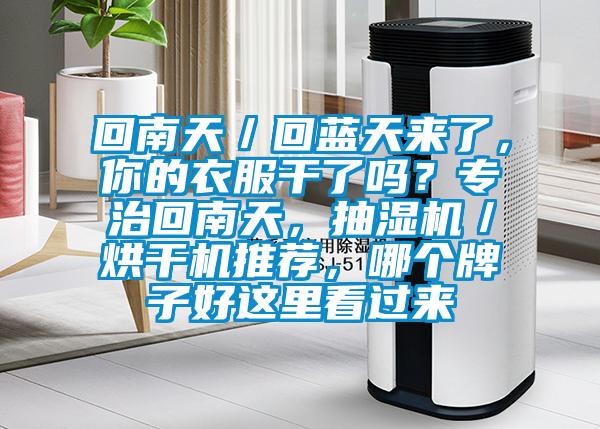回南天／回藍(lán)天來(lái)了，你的衣服干了嗎？專治回南天，抽濕機(jī)／烘干機(jī)推薦，哪個(gè)牌子好這里看過(guò)來(lái)