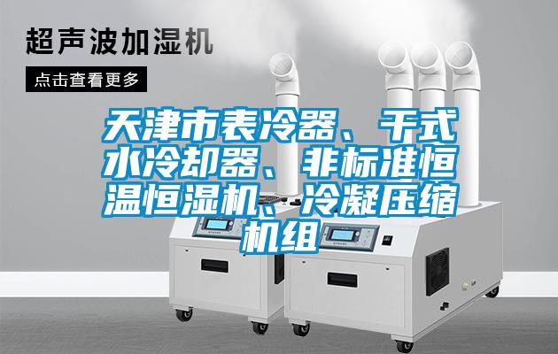 天津市表冷器、干式水冷卻器、非標(biāo)準(zhǔn)恒溫恒濕機(jī)、冷凝壓縮機(jī)組