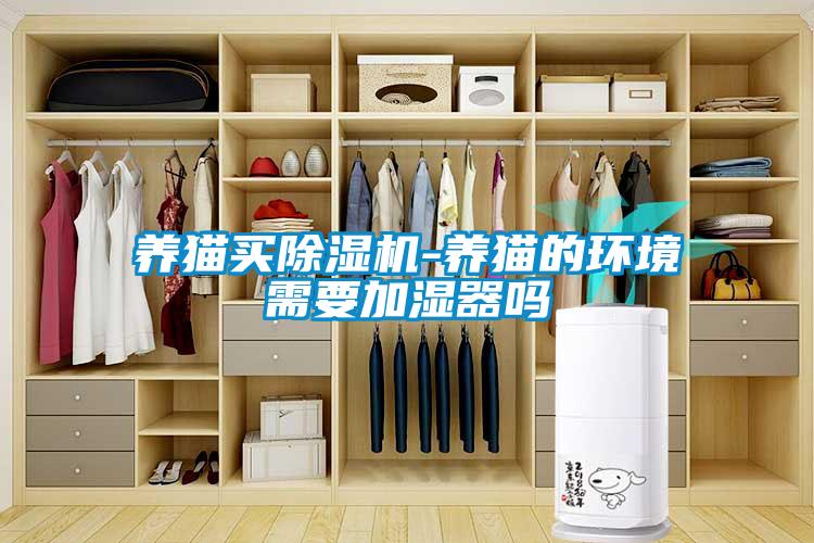 養(yǎng)貓買(mǎi)除濕機(jī)-養(yǎng)貓的環(huán)境需要加濕器嗎