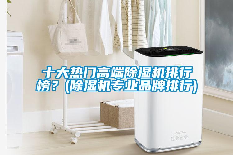 十大熱門高端除濕機(jī)排行榜？(除濕機(jī)專業(yè)品牌排行)