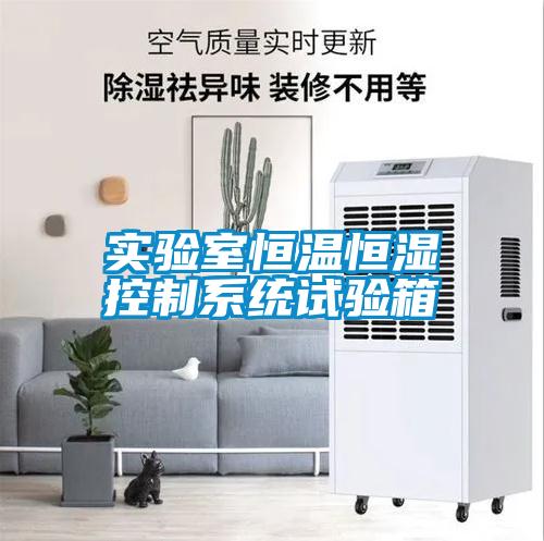 實(shí)驗(yàn)室恒溫恒濕控制系統(tǒng)試驗(yàn)箱
