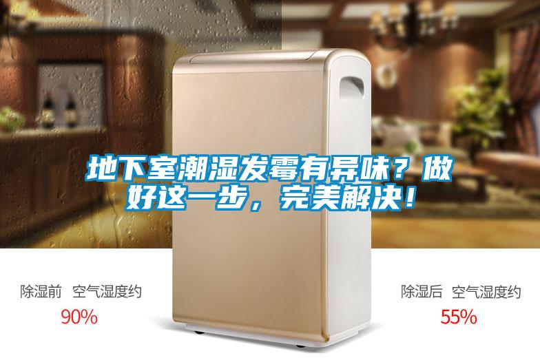 地下室潮濕發(fā)霉有異味？做好這一步，完美解決！