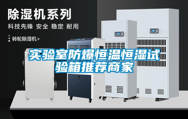 實(shí)驗(yàn)室防爆恒溫恒濕試驗(yàn)箱推薦商家