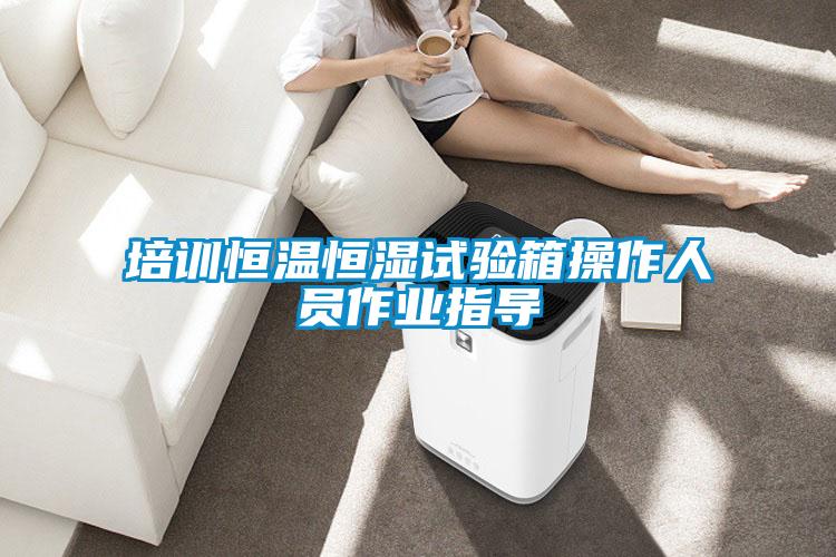 培訓(xùn)恒溫恒濕試驗(yàn)箱操作人員作業(yè)指導(dǎo)