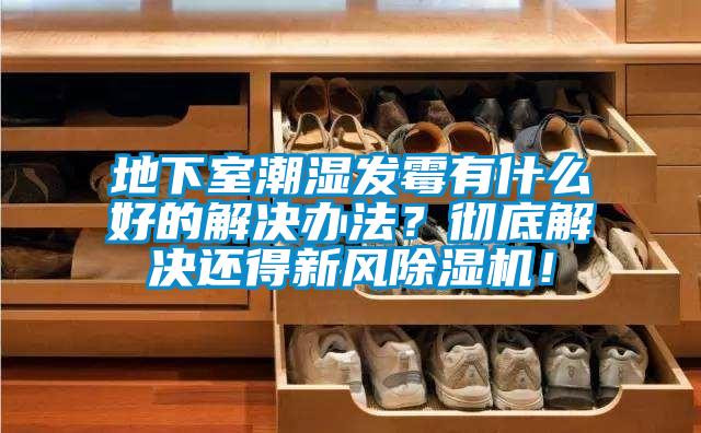 地下室潮濕發(fā)霉有什么好的解決辦法？徹底解決還得新風除濕機！