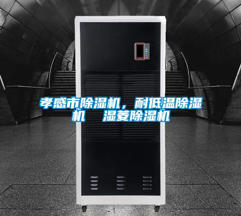 孝感市除濕機，耐低溫除濕機  濕菱除濕機