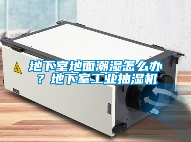 地下室地面潮濕怎么辦？地下室工業(yè)抽濕機(jī)