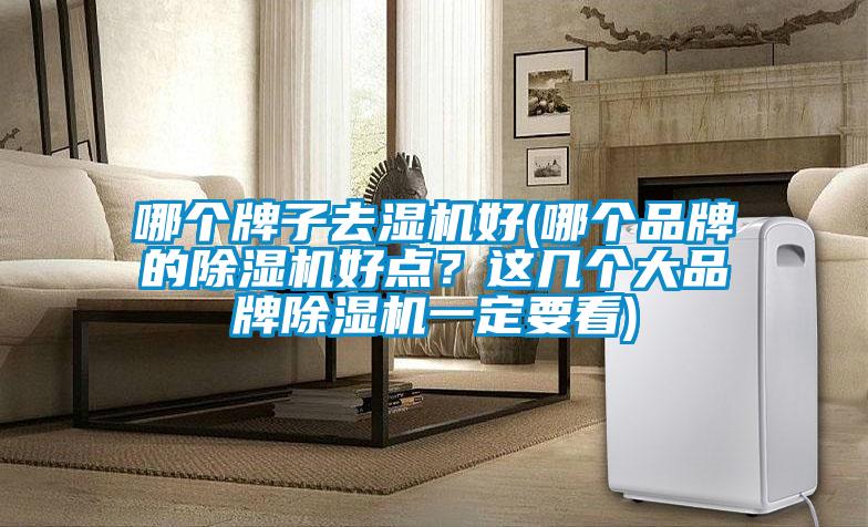 哪個牌子去濕機好(哪個品牌的除濕機好點？這幾個大品牌除濕機一定要看)
