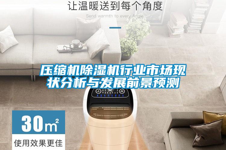 壓縮機(jī)除濕機(jī)行業(yè)市場現(xiàn)狀分析與發(fā)展前景預(yù)測