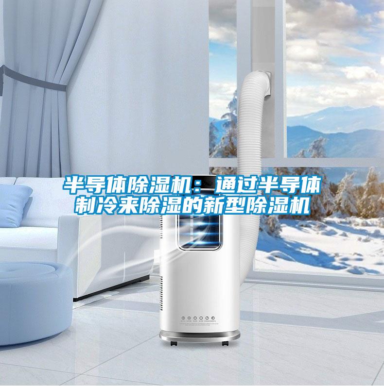 半導體除濕機：通過半導體制冷來除濕的新型除濕機
