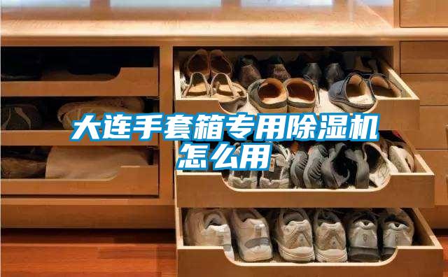 大連手套箱專用除濕機(jī)怎么用