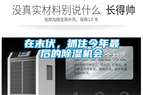在末伏，抓住今年最后的除濕機(jī)會