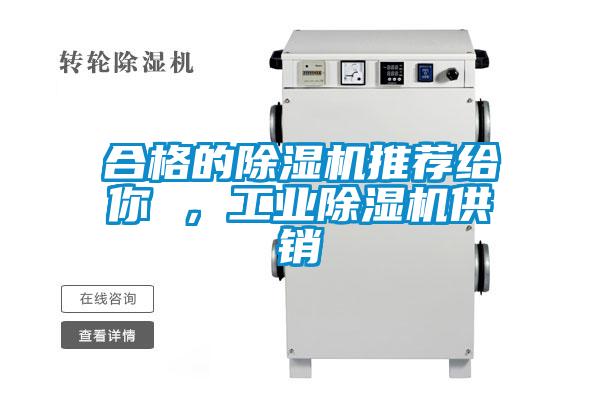 合格的除濕機推薦給你 ，工業(yè)除濕機供銷