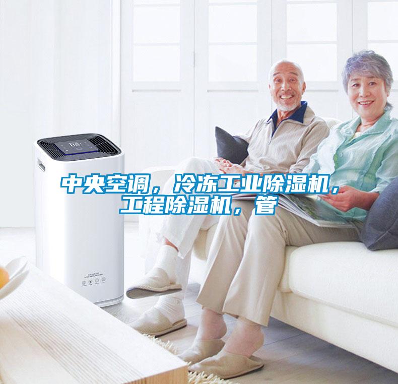 中央空調(diào)，冷凍工業(yè)除濕機(jī)，工程除濕機(jī)，管