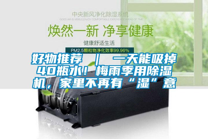 好物推薦 ｜ 一天能吸掉40瓶水！梅雨季用除濕機，家里不再有“濕”意