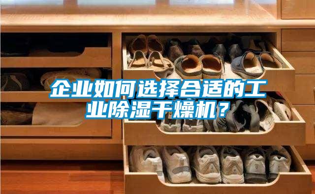 企業(yè)如何選擇合適的工業(yè)除濕干燥機(jī)？