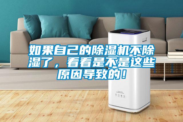 如果自己的除濕機(jī)不除濕了，看看是不是這些原因?qū)е碌模?></div>
								<div   id=