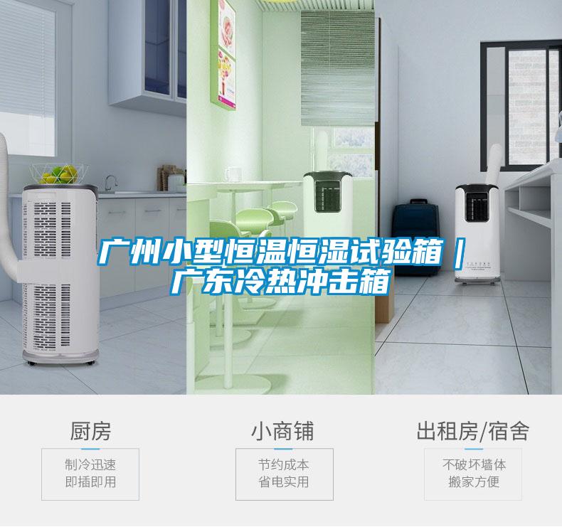 廣州小型恒溫恒濕試驗箱｜廣東冷熱沖擊箱