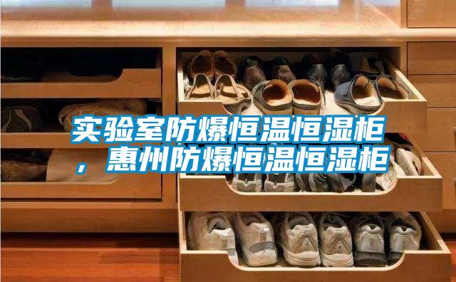實(shí)驗(yàn)室防爆恒溫恒濕柜，惠州防爆恒溫恒濕柜