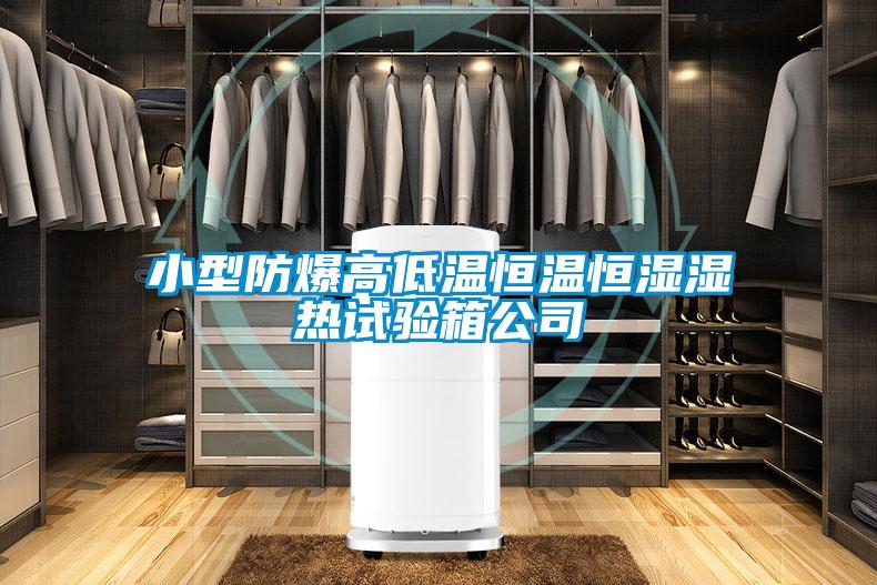 小型防爆高低溫恒溫恒濕濕熱試驗箱公司