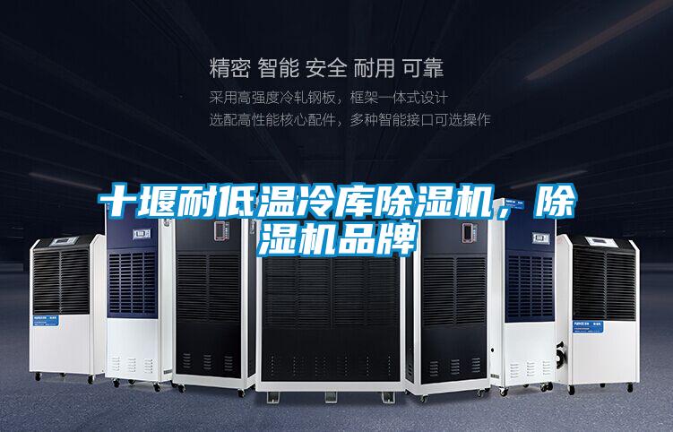 十堰耐低溫冷庫(kù)除濕機(jī)，除濕機(jī)品牌