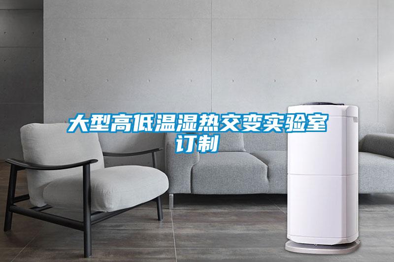 大型高低溫濕熱交變實(shí)驗(yàn)室訂制