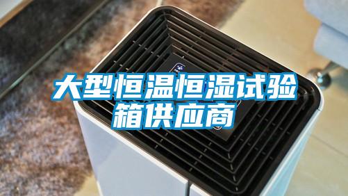 大型恒溫恒濕試驗箱供應(yīng)商