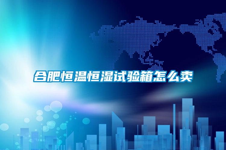 合肥恒溫恒濕試驗(yàn)箱怎么賣