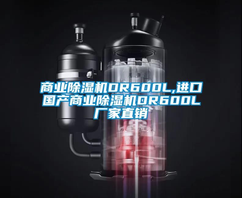 商業(yè)除濕機DR600L,進(jìn)口國產(chǎn)商業(yè)除濕機DR600L廠家直銷
