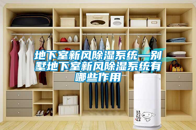 地下室新風除濕系統—別墅地下室新風除濕系統有哪些作用