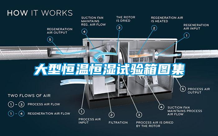 大型恒溫恒濕試驗箱圖集