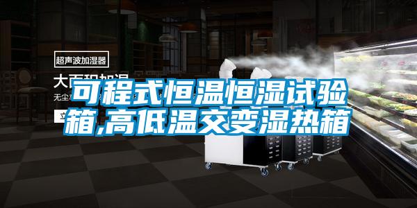 可程式恒溫恒濕試驗(yàn)箱,高低溫交變濕熱箱