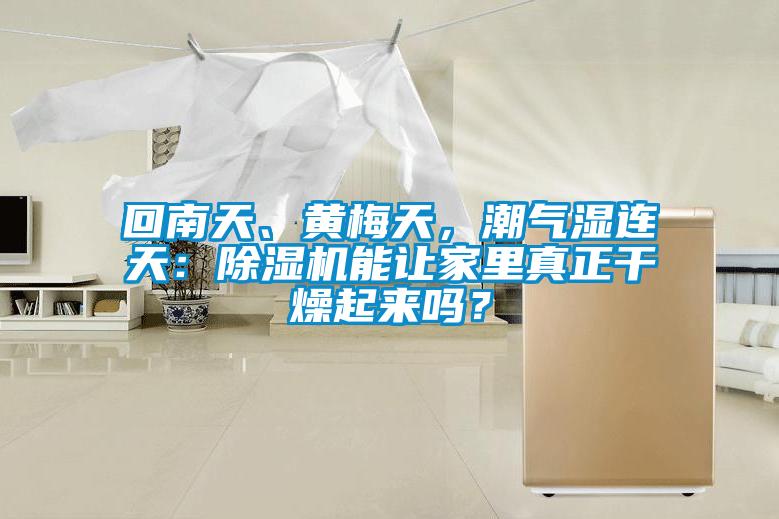 回南天、黃梅天，潮氣濕連天：除濕機(jī)能讓家里真正干燥起來嗎？
