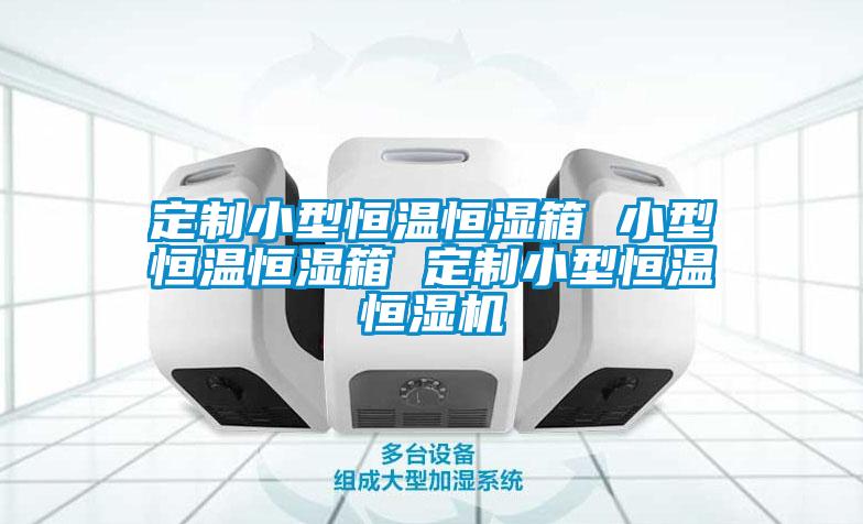 定制小型恒溫恒濕箱 小型恒溫恒濕箱 定制小型恒溫恒濕機