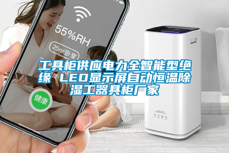 工具柜供應(yīng)電力全智能型絕緣 LED顯示屏自動恒溫除濕工器具柜廠家